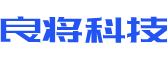 维西软件开发公司